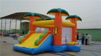 China Backyard Water Slide Bounce House , Popular Inflatable Castle Bounce House for sale