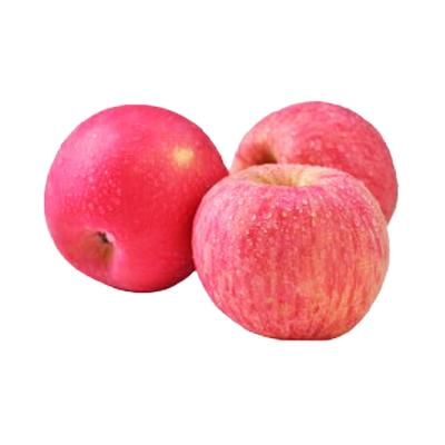 中国 Fresh apple import from china, red honey fuji apple supplier, hot selling fuji apple with lowest price 販売のため