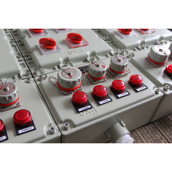 IIB T4 Explosion Proof Distribution Control Panel | Flameproof Enclosure 0