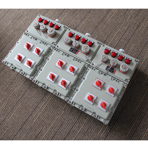 IIB T4 Explosion Proof Distribution Control Panel | Flameproof Enclosure 1