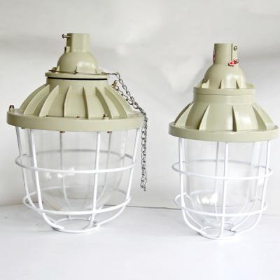 Cina Lampada NASCOSTA protetta contro le esplosioni 200W 400W del Rischio-Gard grande in vendita