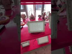 ATEX Certified Explosion Proof LED Flood Light | 165lm/W High Efficiency | Anti-Corrosion Hazardous Area Lighting | OEM & Customization Available