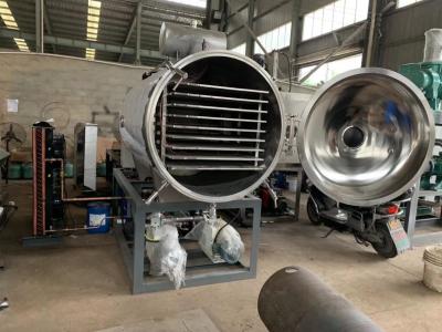 China Linha de produção automática secador da eficiência elevada de gelo do vácuo de ZG-5 para o alimento à venda