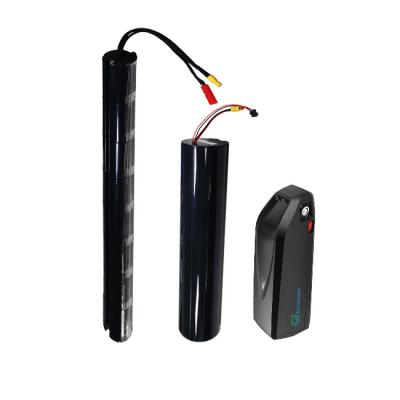 China Various Lithium Electric Bicycle Battery Replacment For Ebike 24V 36V for sale