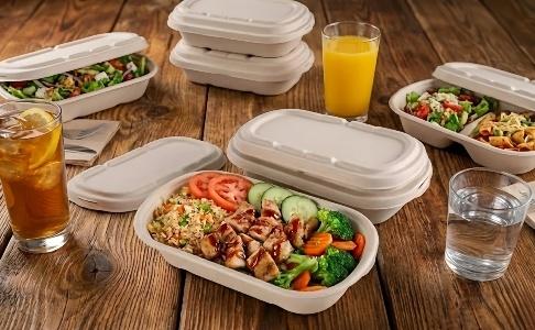 500ml bagasse oval box holding gourmet food