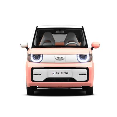 China 3 Door 4 Seater Electric Mini Car Chery QQ Ice Cream 20kw Mini Electric Vehicle for sale