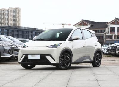 Chine 5 véhicule automobile d'économie de puissance des sièges BYD EV avec la mouette de voiture électrique d'énergie propre Etc. Interior Features à vendre