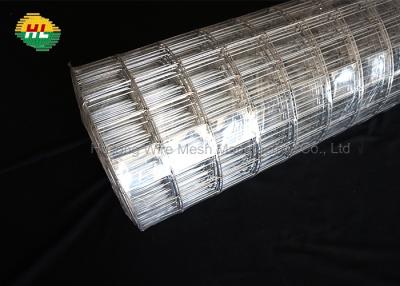 China cold Galvanized 16GA Welded Wire Mesh Rolls 2x3 inch for Home Garden Fence for sale