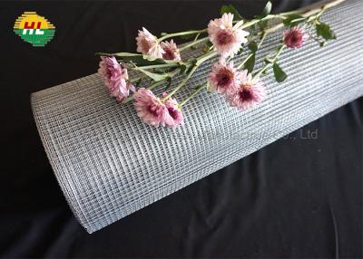 China Plaster Welded Wire Mesh Rolls 1.2m*30m Hardware Cloth for Building Construction for sale