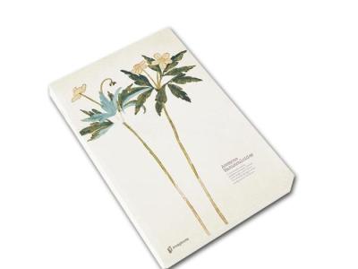China Custom Printing Brochures , New Designe Notebook Printing , Soft Cover Book for sale
