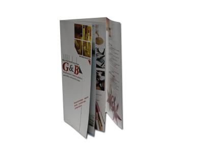 China Matte Art Paper Brochure Printing Custom Printing Brochures Flyer Printing for sale
