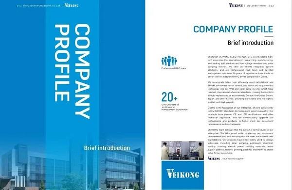VEIKONG company profile