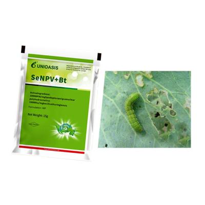 China Organic Certification Biopesticide SeNPV Bt Kill Beet Armyworm Vegetable Garden for sale
