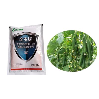 China Safe 70% Acetamiprid Insecticide WP For Vegetable Plants Aphid Killing for sale