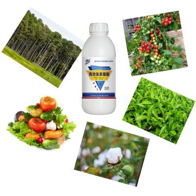 China SC Agrochemical 10% Beta Cypermethrin Insecticide Pesticide For Vegetables Fruit Trees for sale