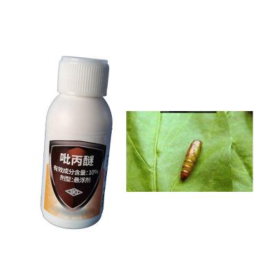 China 10% Pyriproxyfen Biological Pesticide Mosquito Insecticides Efficient to Kill Mosquito Larvae for sale