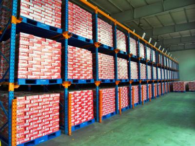 China Powder Coated Drive In Pallet Rack , Durable Steel Pallet Racking for sale