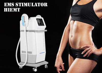 China Weight Loss Fat Burning Ems Body Slimming Device Rf for sale