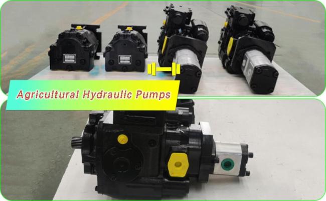Axial piston hydraulic pumps