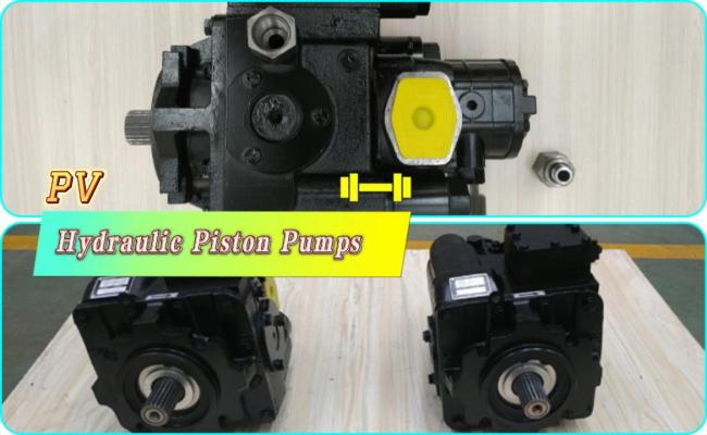 HPV110 hydraulic piston pumps