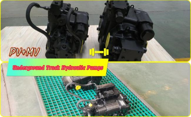 Hydraulic control piston pump