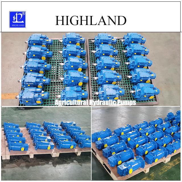 Hydrostatic drive heavy duty hydraulic motor