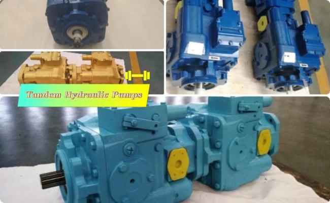 Hydraulic tandem pump customization