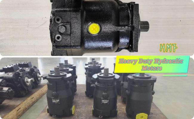 Special hydraulic motor for coal mine equipment