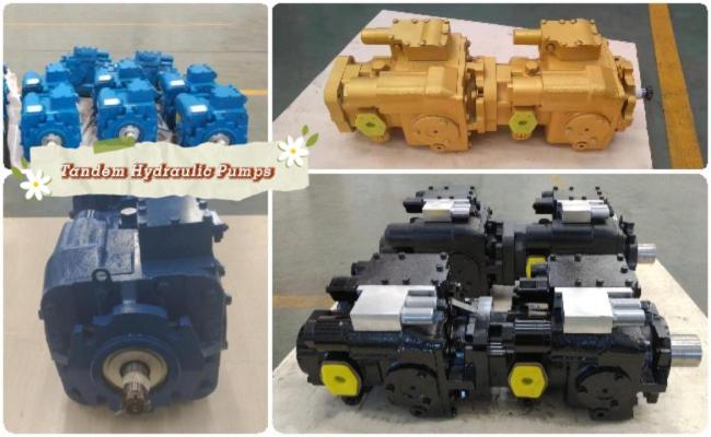 Hydraulic tandem pump customization