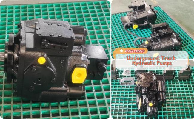 Variable motor customization