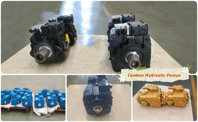 Agricultural machinery hydraulic tandem pump