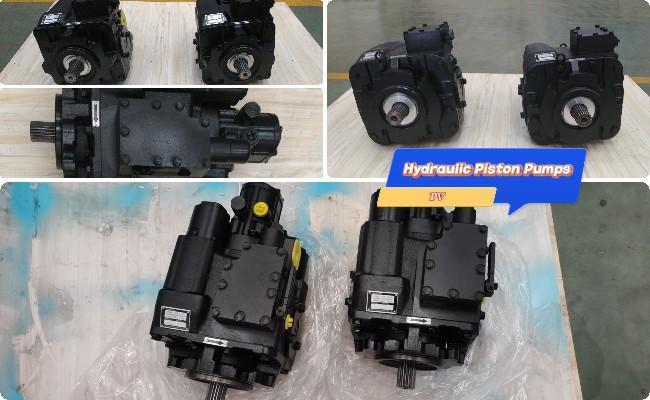 Hydraulic pump motor system customization