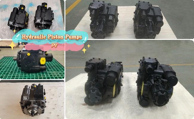 agricultural machinery piston pump