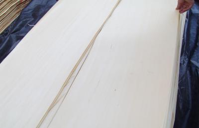 China Basswood Natural Rotary Cut Veneer MDF For Plywood for sale
