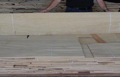 China A fatia de madeira do folheado da cinza natural branca cortou a espessura de 0.5mm para o revestimento interior à venda