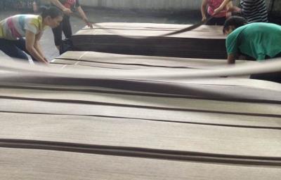 China Corte cortado chapa de madera de la nuez de los muebles, chapa arquitectónica del revestimiento de madera en venta
