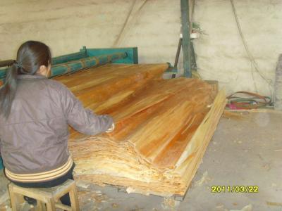 China White / Brown Birch Rotary Cut Wood Veneer , Quilted Maple Veneer for sale