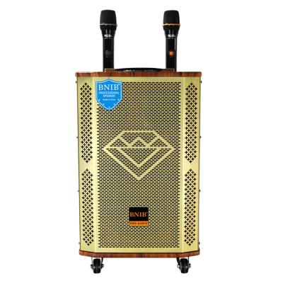 China 12 Inch Portable Trolley Speaker With Microphone Big Power Bluetooth 5.0 for sale