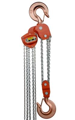 China ISO 9001 Manual Chain Pulley for sale