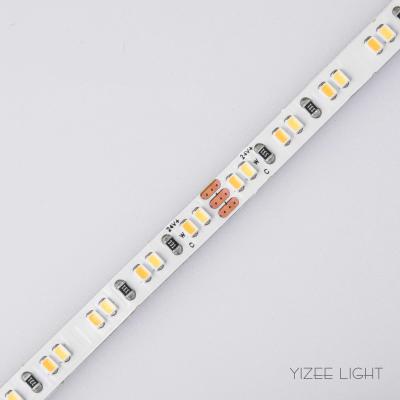 China 24V Color Temperature Adjustable LED Strip 2700 - 6000K SMD2216 240 LEDs/M 9.6W for sale