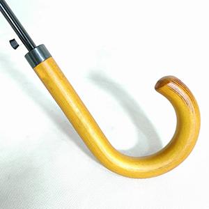 Detailed view of umbrella ribs and opening mechanism