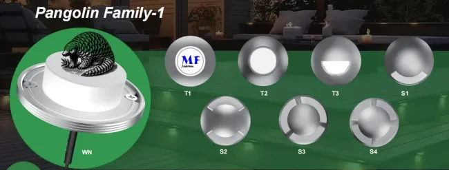 DC12V 2W 3W Underground IP68 Waterproof Outdoor Deck RGB Well Floor Pathway Walkway LED Inground Light for Garden Landscape Swimming Pool