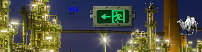 Factory Price Ni-CD 4W IP65 Fireproof Explosionproof Waterproof Industry Basement School Hospital Subway Supermarket Airport Escape LED Emergency Exit Light