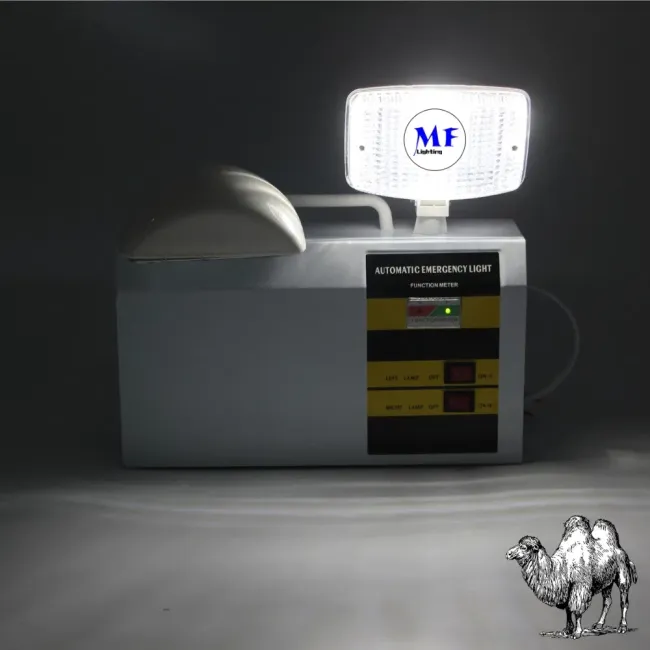 Factory Price IP65 AC85-265V 2*5W Double Heads Emergency Light for School Hospital Subway Train Stations Shopping Factories Center Supermarket Airport Office