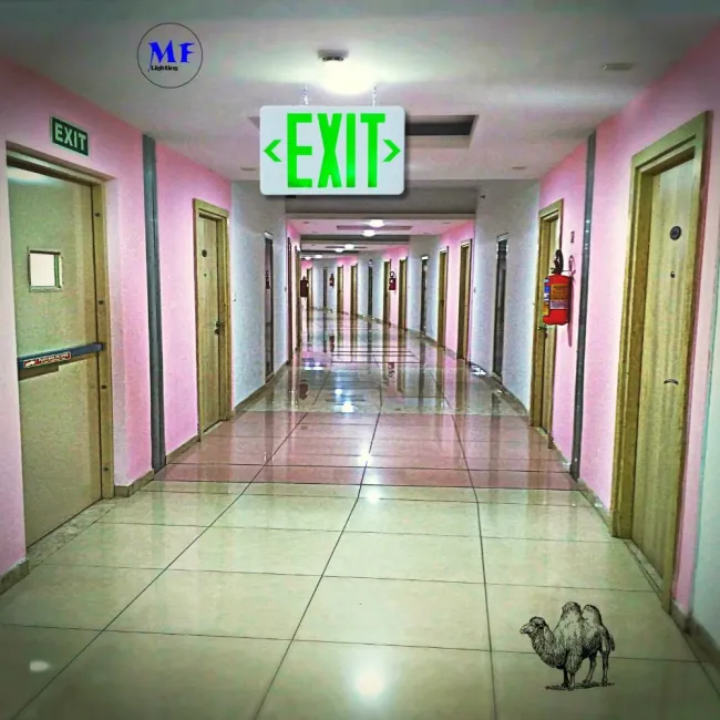Factory Price IP43 AC85-265V 3W LED Emergency Light for School Hospital Subway Train Stations Shopping Center Supermarket Airport Office Factories Hotels Baseme