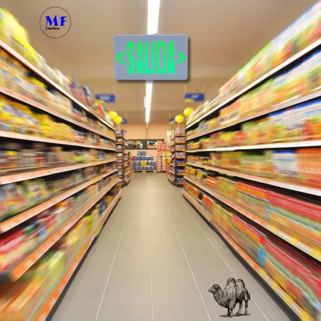 Factory Price IP43 AC85-265V 3W LED Emergency Light for School Hospital Subway Train Stations Shopping Center Supermarket Airport Office Factories Hotels Baseme