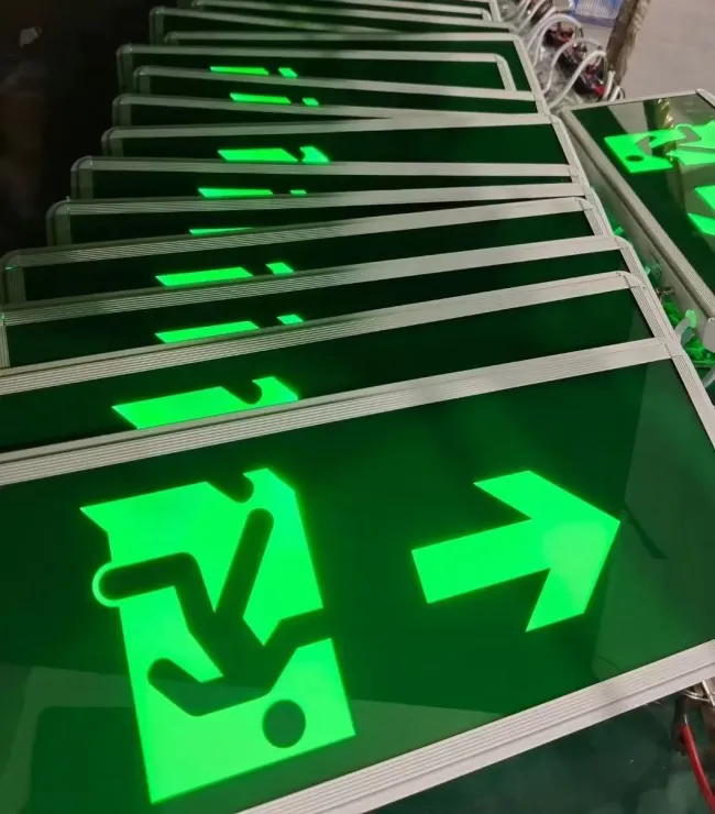 Factory Price Waterproof Fireproof Aluminum IP66 Hotel Hospital Shopping Mall Train Station School Supermarket LED Exit Escpe Emergency Light