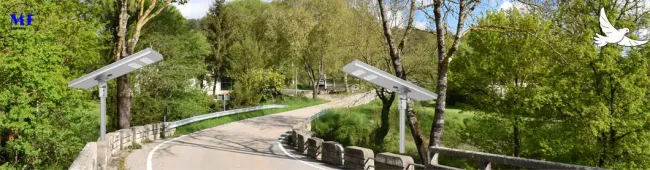 Factory Price Motion Sensor 120W 100W 80W Alu. IP66 Plaza Pathyway Sidewalk Side Pavement Footwalk Footway Villa Courtyard LED Solar Street Garden Light