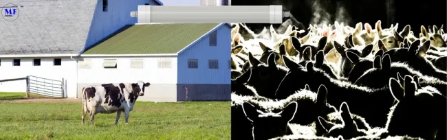 Factory Price Plastic Alu. Ik10 IP69K 0~10V Dim CCT Power Adjustable 170lm/W 1.6m Anti-Ammonia Chicken Farmyard Livestock LED Sheep Cow Diary Tri-Proof Light