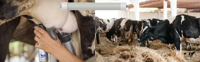 Factory Price Plastic Alu. Ik10 IP69K 0~10V Dim CCT Power Adjustable 170lm/W 1.6m Anti-Ammonia Chicken Farmyard Livestock LED Sheep Cow Diary Tri-Proof Light
